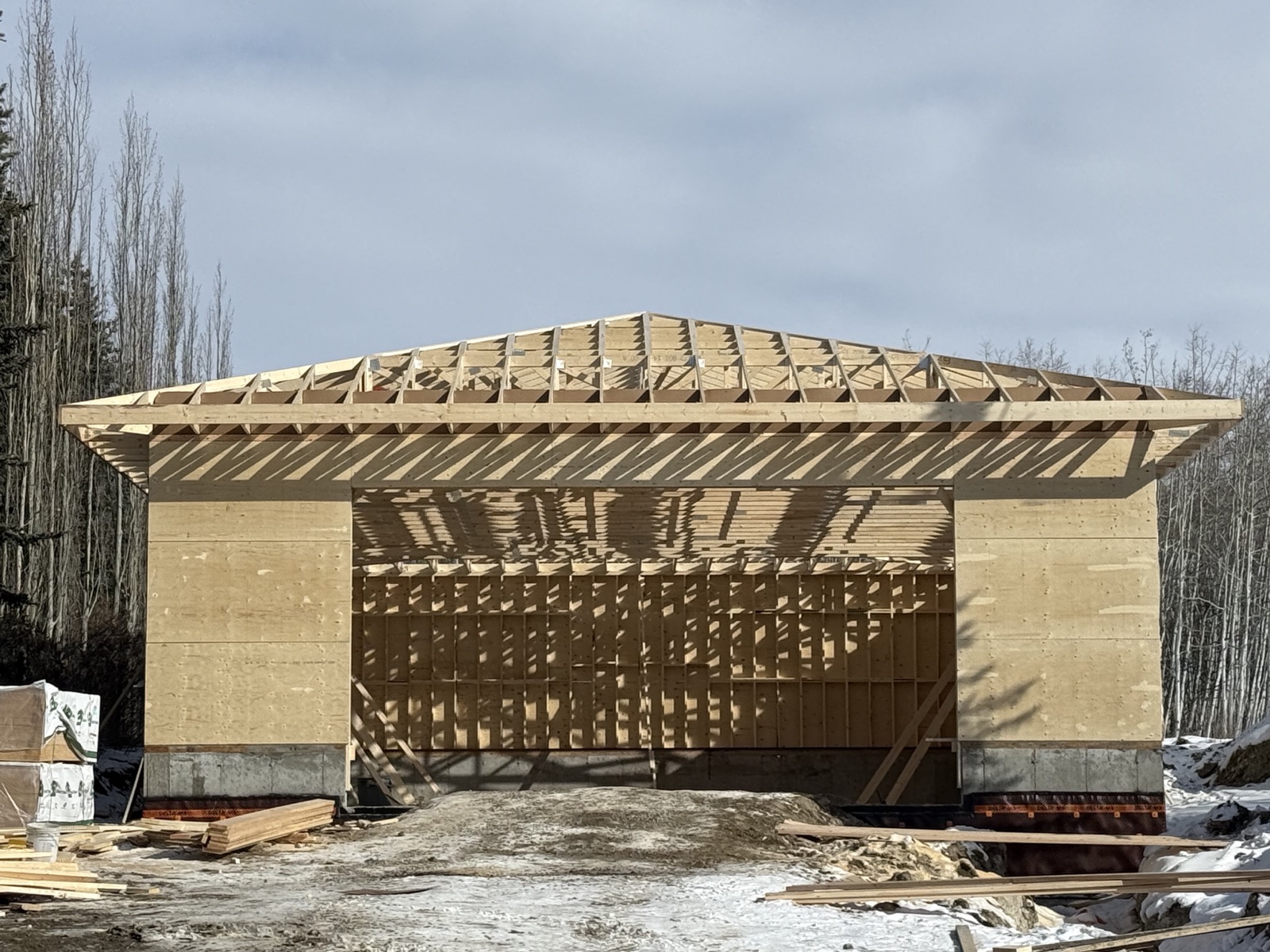 Structural framing on a Wasch Construction project